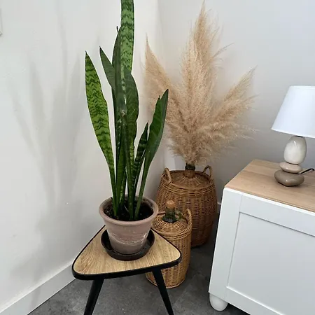 Apartment Appartement - Central - Proche Gare - Parking - Confort - Moderne